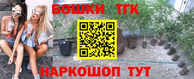 гидра Тара