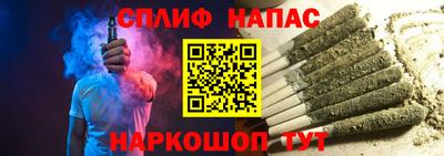 гидра Тара