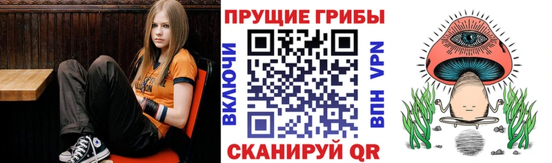 Псилоцибиновые грибы Cubensis Печора