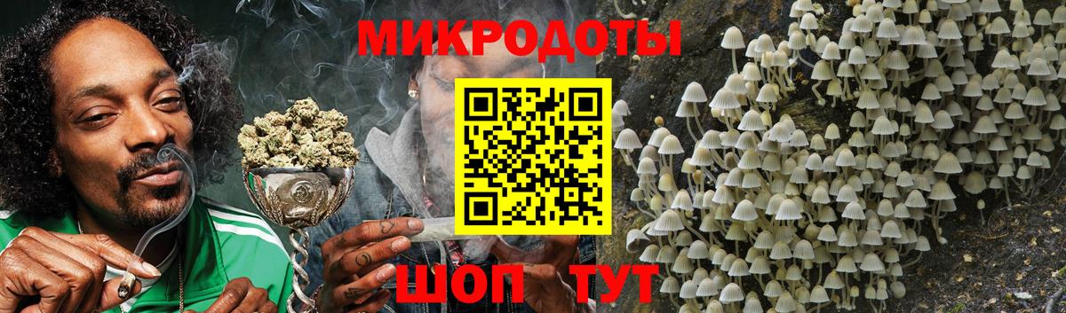 Псилоцибиновые грибы мицелий  Вход с VPN  Печора 