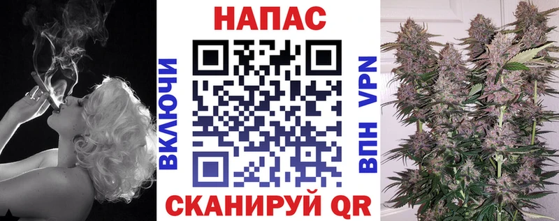 omg ТОР  Печора  Конопля планчик 
